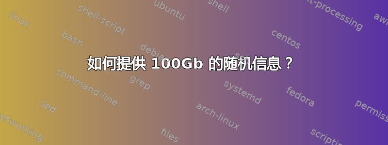 如何提供 100Gb 的随机信息？