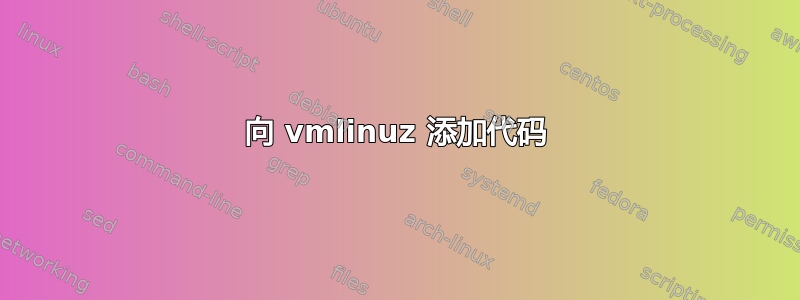 向 vmlinuz 添加代码