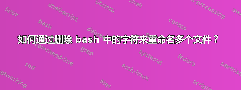 如何通过删除 bash 中的字符来重命名多个文件？