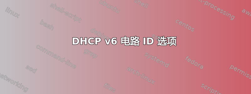 DHCP v6 电路 ID 选项