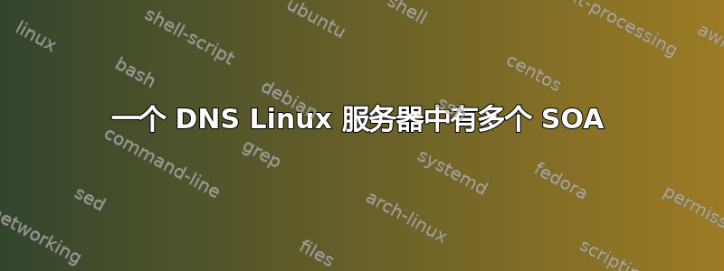 一个 DNS Linux 服务器中有多个 SOA