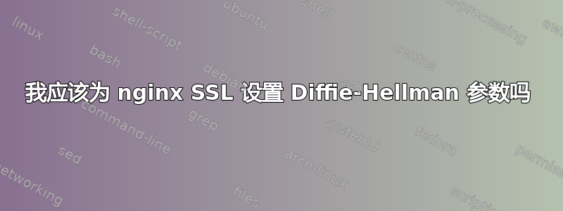 我应该为 nginx SSL 设置 Diffie-Hellman 参数吗