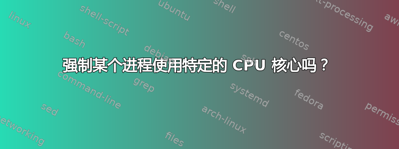 强制某个进程使用特定的 CPU 核心吗？