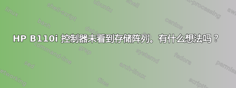 HP B110i 控制器未看到存储阵列。有什么想法吗？