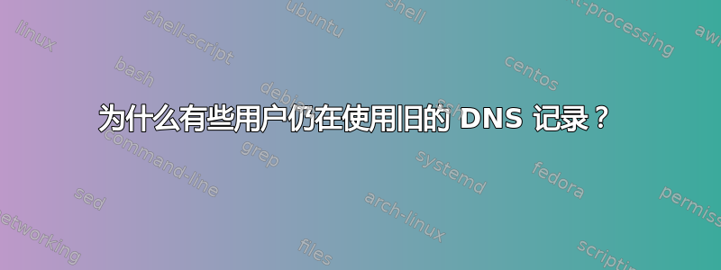 为什么有些用户仍在使用旧的 DNS 记录？