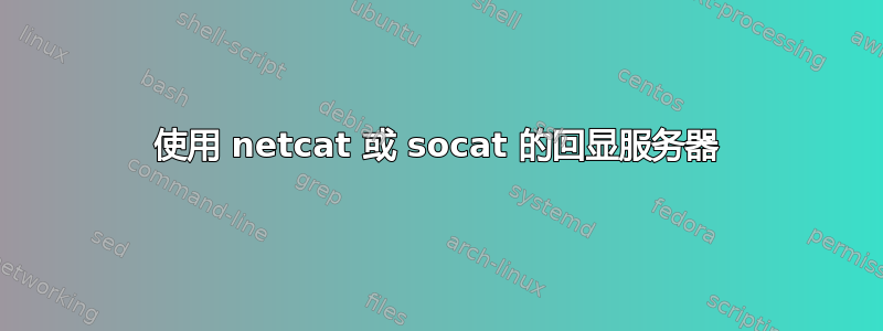 使用 netcat 或 socat 的回显服务器