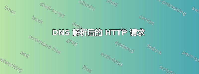 DNS 解析后的 H​​TTP 请求