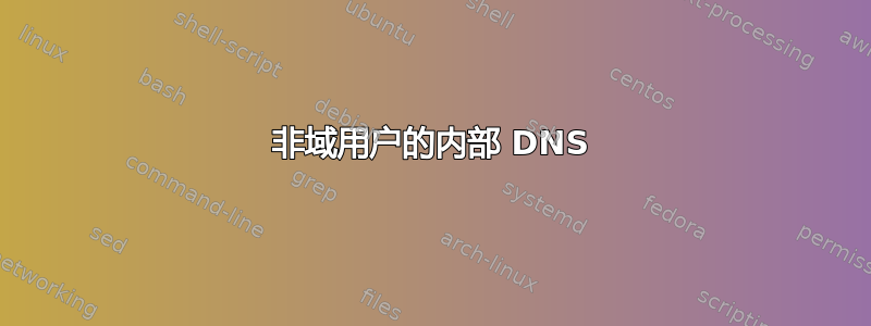 非域用户的内部 DNS