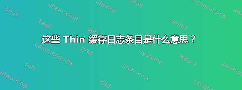 这些 Thin 缓存日志条目是什么意思？