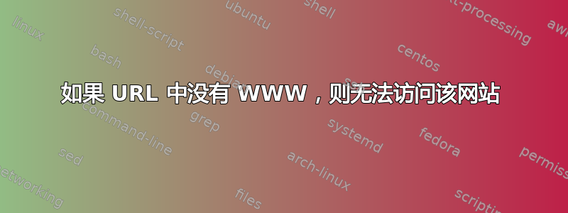 如果 URL 中没有 WWW，则无法访问该网站