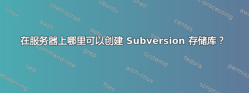 在服务器上哪里可以创建 Subversion 存储库？