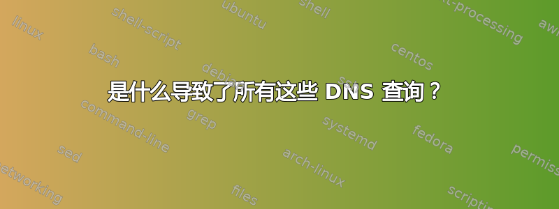 是什么导致了所有这些 DNS 查询？