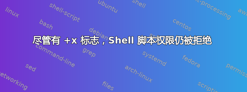 尽管有 +x 标志，Shell 脚本权限仍被拒绝