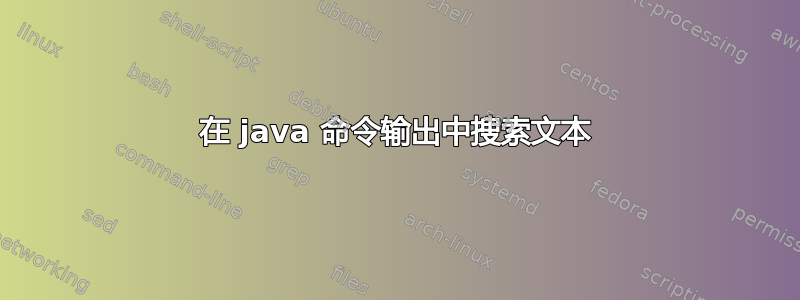 在 java 命令输出中搜索文本