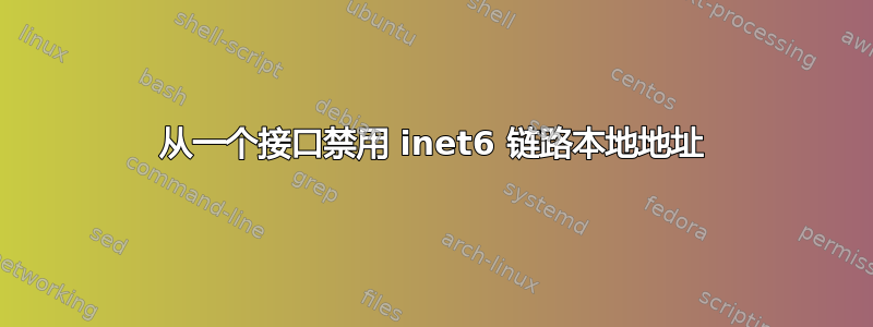 从一个接口禁用 inet6 链路本地地址