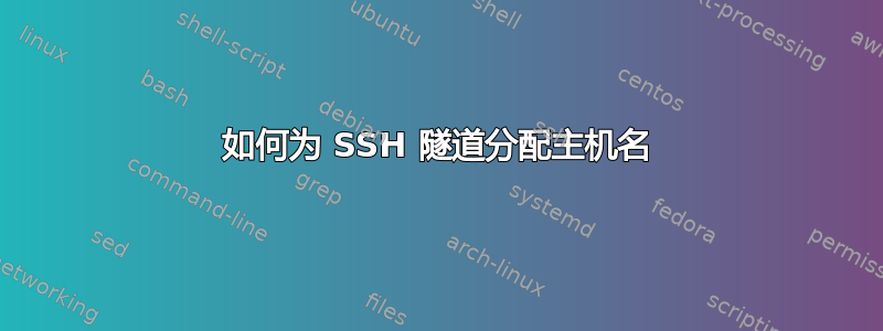 如何为 SSH 隧道分配主机名