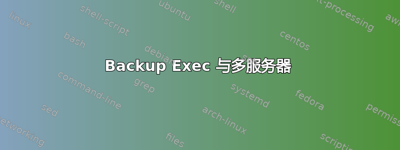 Backup Exec 与多服务器