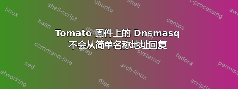 Tomato 固件上的 Dnsmasq 不会从简单名称地址回复