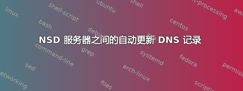 NSD 服务器之间的自动更新 DNS 记录