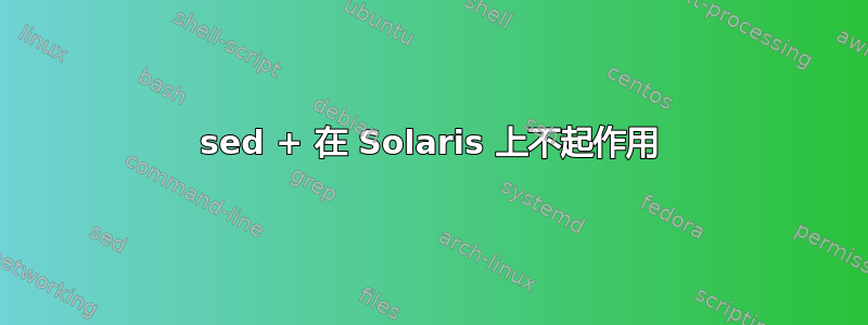 sed + 在 Solaris 上不起作用