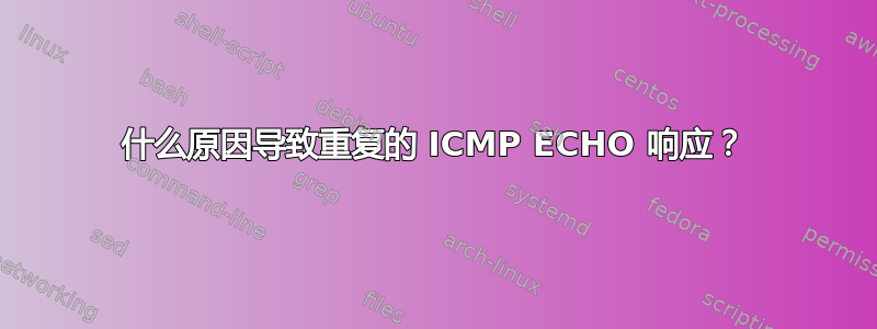 什么原因导致重复的 ICMP ECHO 响应？