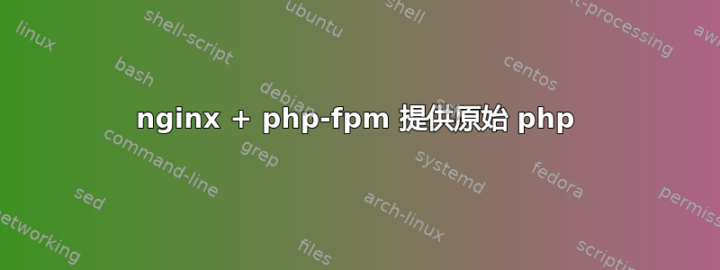 nginx + php-fpm 提供原始 php