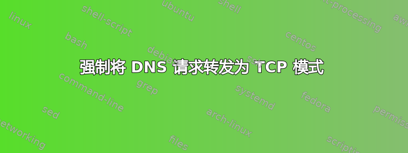 强制将 DNS 请求转发为 TCP 模式