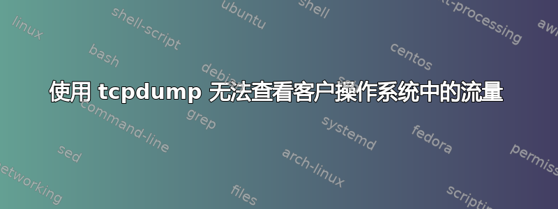 使用 tcpdump 无法查看客户操作系统中的流量