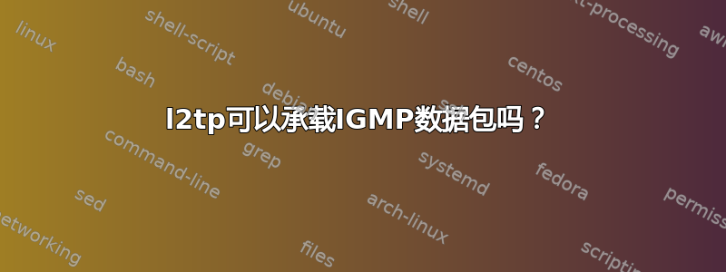 l2tp可以承载IGMP数据包吗？