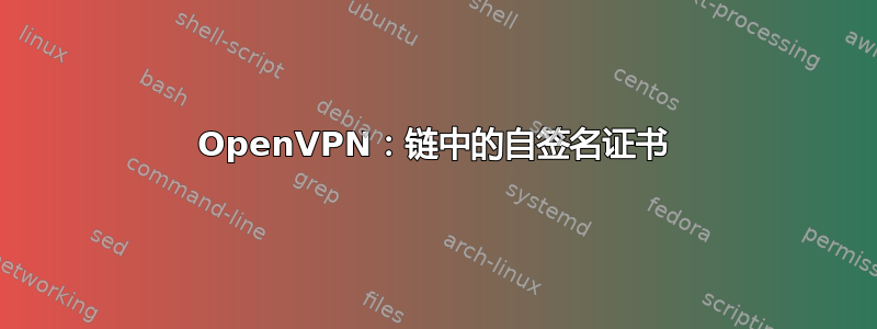 OpenVPN：链中的自签名证书