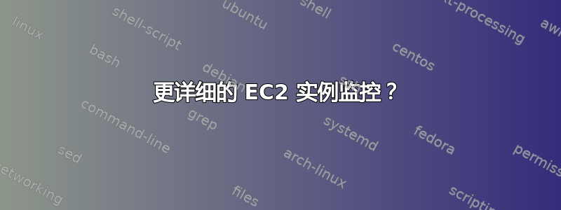 更详细的 EC2 实例监控？