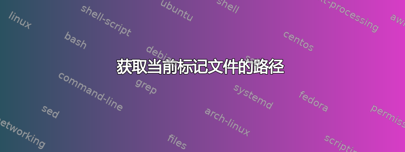 获取当前标记文件的路径