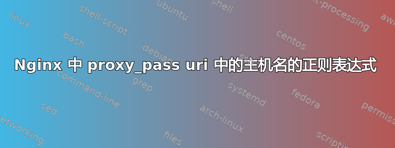 Nginx 中 proxy_pass uri 中的主机名的正则表达式