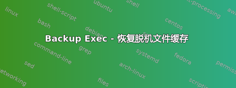 Backup Exec - 恢复脱机文件缓存