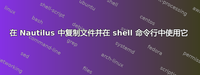 在 Nautilus 中复制文件并在 shell 命令行中使用它