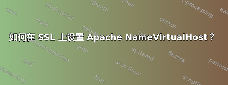 如何在 SSL 上设置 Apache NameVirtualHost？