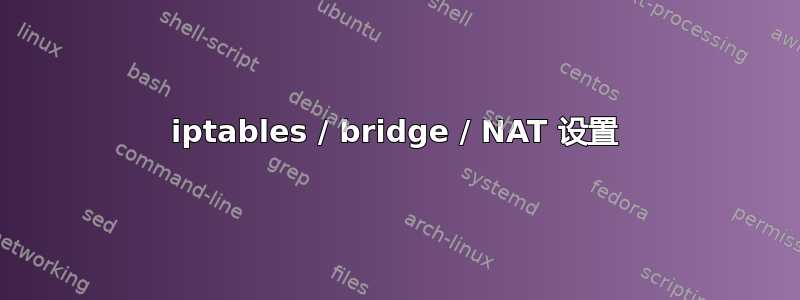 iptables / bridge / NAT 设置