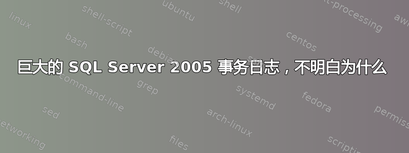 巨大的 SQL Server 2005 事务日志，不明白为什么