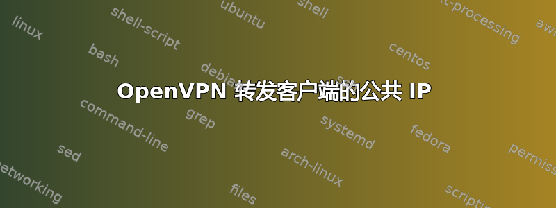 OpenVPN 转发客户端的公共 IP