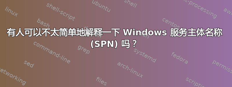 有人可以不太简单地解释一下 Windows 服务主体名称 (SPN) 吗？