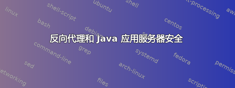 反向代理和 Java 应用服务器安全