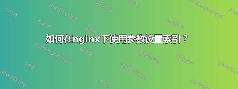 如何在nginx下使用参数设置索引？