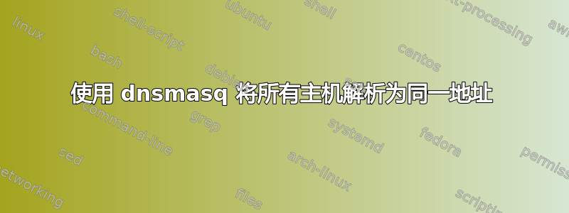 使用 dnsmasq 将所有主机解析为同一地址