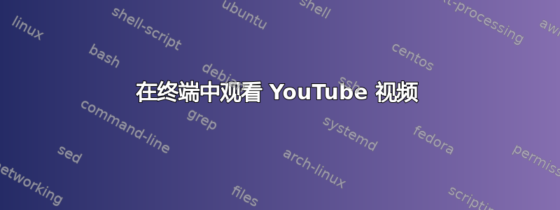 在终端中观看 YouTube 视频