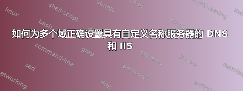 如何为多个域正确设置具有自定义名称服务器的 DNS 和 IIS