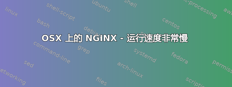 OSX 上的 NGINX - 运行速度非常慢