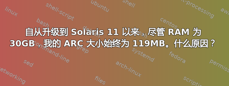 自从升级到 Solaris 11 以来，尽管 RAM 为 30GB，我的 ARC 大小始终为 119MB。什么原因？