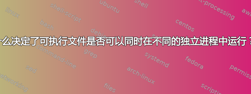 什么决定了可执行文件是否可以同时在不同的独立进程中运行？