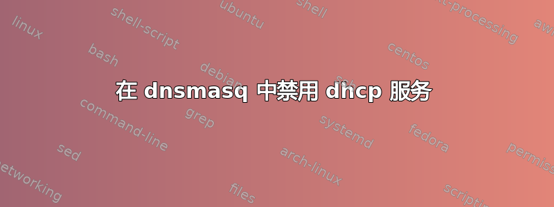 在 dnsmasq 中禁用 dhcp 服务