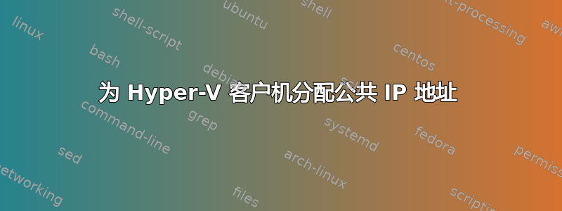 为 Hyper-V 客户机分配公共 IP 地址